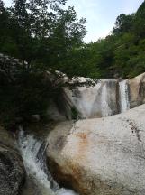 龙地逃生